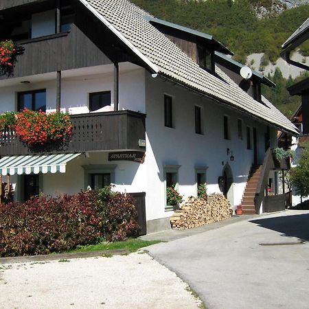 Apartmaji Hodnik Stara Fuzina 博希尼 外观 照片